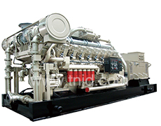 190系列300-500KW生物質(zhì)氣發(fā)電機組